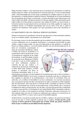 continuacion-tema-2.pdf