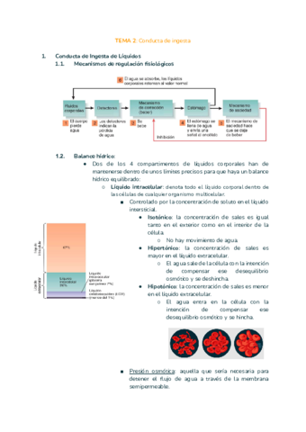 TEMA-2-fisio.pdf