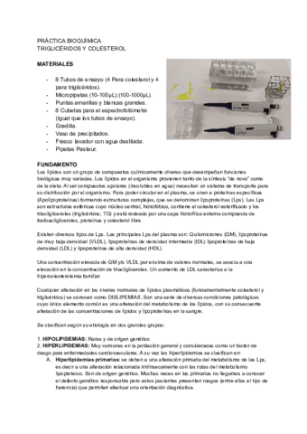PRACTICA-BIOQUIMICA-TRIGLICERIDOS-Y-COLESTEROL.pdf