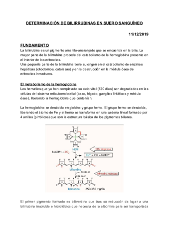 DETERMINACION-DE-BILIRRUBINAS-EN-SUERO-SANGUINEO.pdf