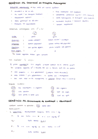 ANALISI-GENETICA-Practiques.pdf