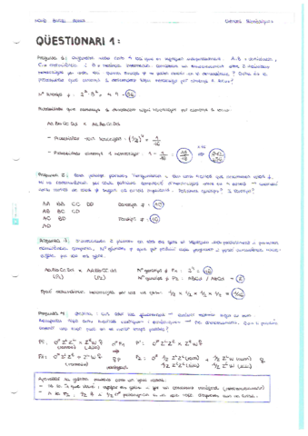 ANALISI-GENETICA-Questionaris.pdf