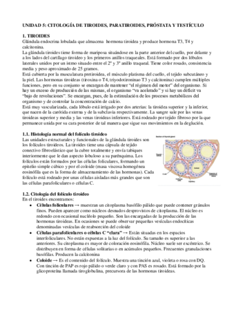 General-TM-5-apuntes-1.pdf