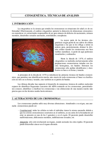Citogenetica-Apuntes.pdf