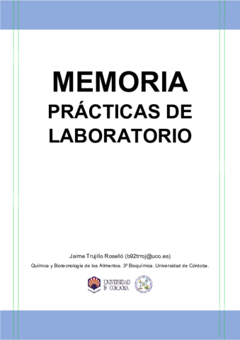 Memoria-PL1-y-PL2.pdf