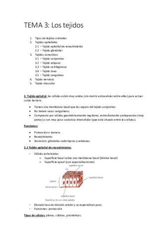 FISIOPATOLOGIA-TEMA-3-LOS-TEJIDOS.pdf