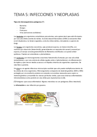 FISIOPATOLOGIA-TEMA-5-INFECCIONES-Y-NEOPLASIAS.pdf