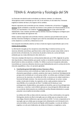 FISIOPATOLOGIA-TEMA-6-ANATOMIA-Y-FISIOLOGIA-DEL-SN.pdf