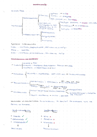 Morfologia.pdf