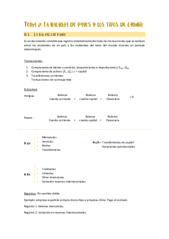 Tema-8-La-balanza-de-pagos-y-los-tipos-de-cambio.pdf