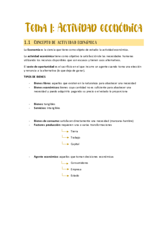 Tema-1-Actividad-economica.pdf
