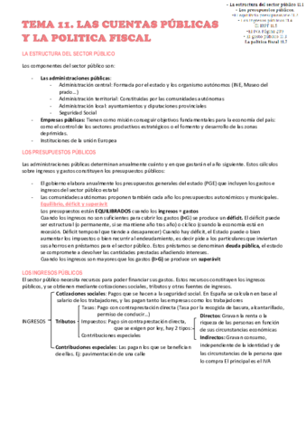 TEMA-11.pdf