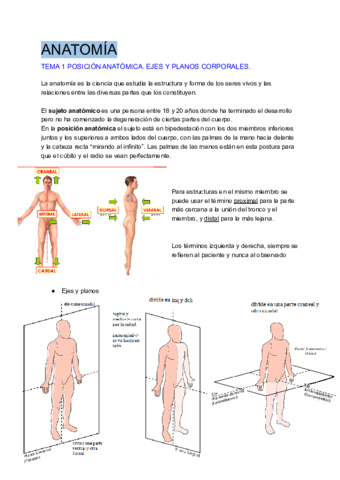 tema-1-y-2-anatomia.pdf