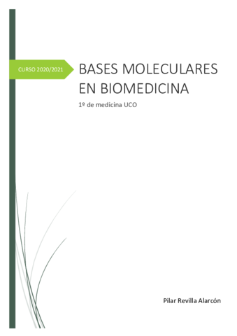 Bases-moleculares.pdf