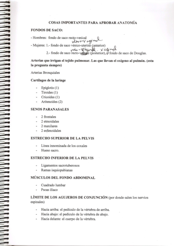 Cosas-importantesAnatomia.pdf