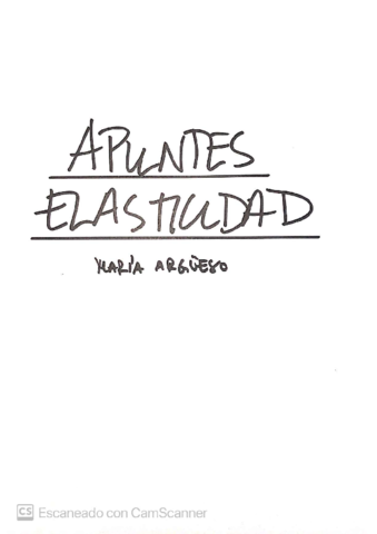 Apuntes-Elasticidad-Maria.pdf