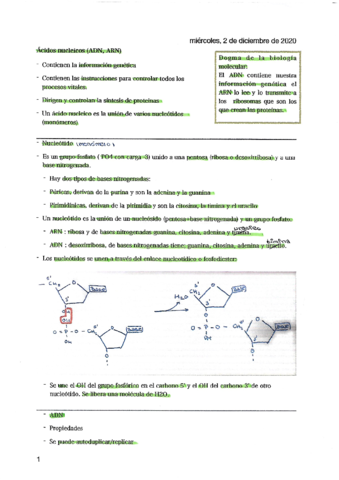 acidos-nucleicos.pdf