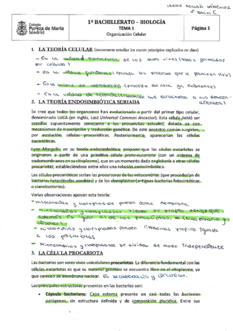 organizacion-celular.pdf