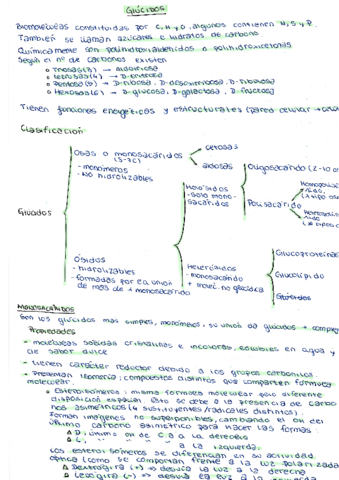 glucidos.pdf