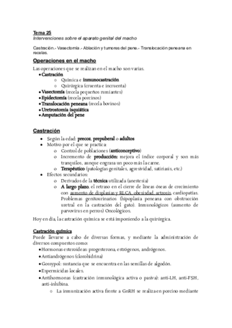 Tema-25-Operaciones-en-el-Macho.pdf