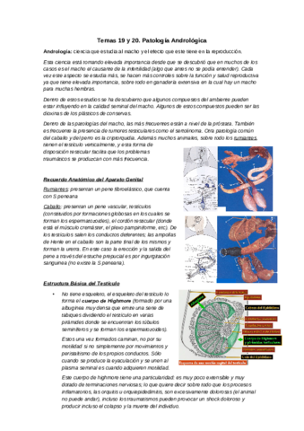Tema-19-y-20-Patologia-Andrologica.pdf