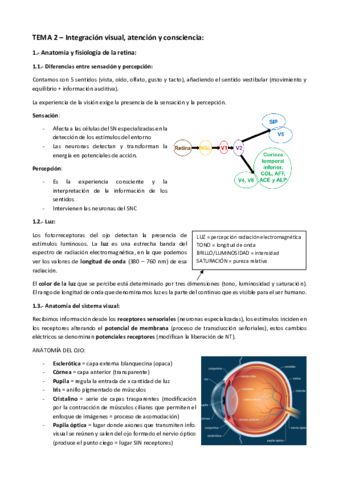 TEMA-2-Integracion-visual-atencion-y-consciencia-.pdf