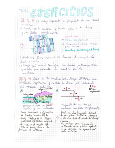 T2-ejercicios-solucionados.pdf