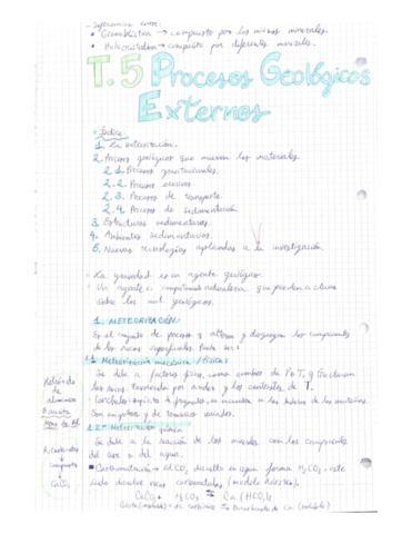 T5-procesos-geologicos-externos.pdf