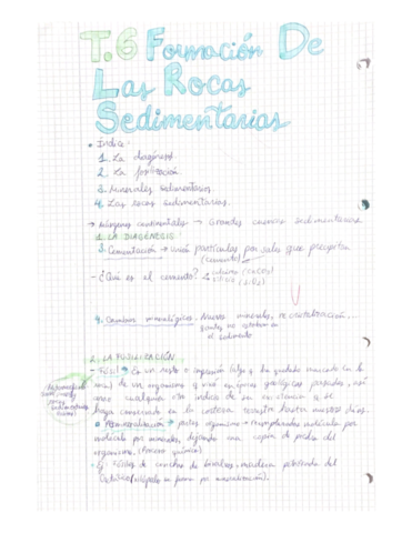 T6-formacion-de-las-rocas-sedimentarias.pdf