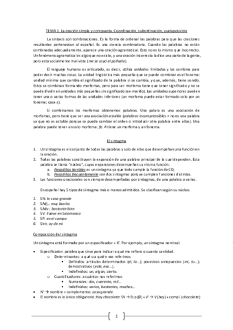 Sintaxis.pdf
