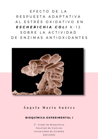 Maria-Suarez-Angela-Pr2.pdf