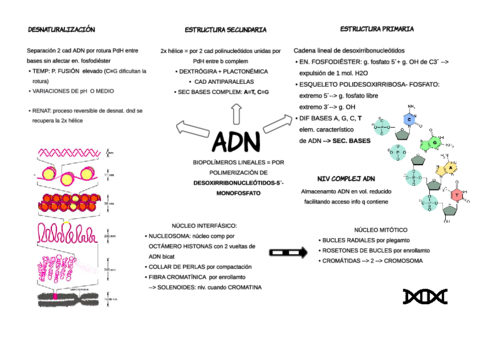 ARN-Pagina-1.pdf