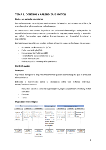 todo-neuro.pdf