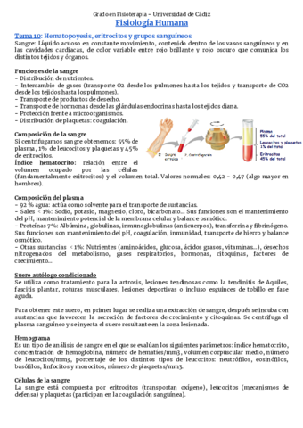 Bloque-3-La-sangre