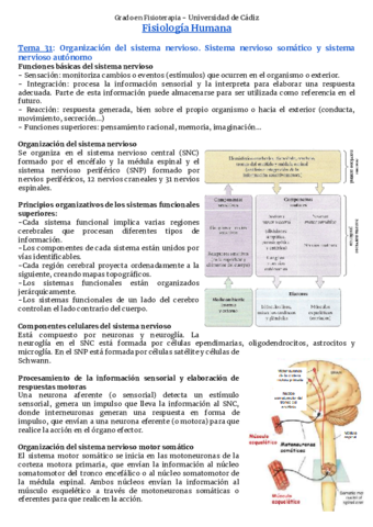 Bloque-9-Sistema-nervioso
