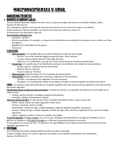 macronutrientes-r5y6.pdf