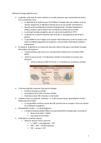 07Glicolisi.pdf