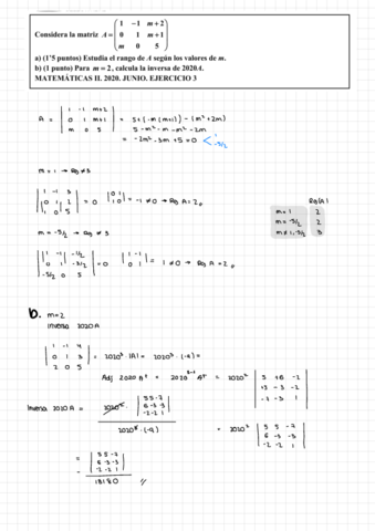 Mas-matrices.pdf