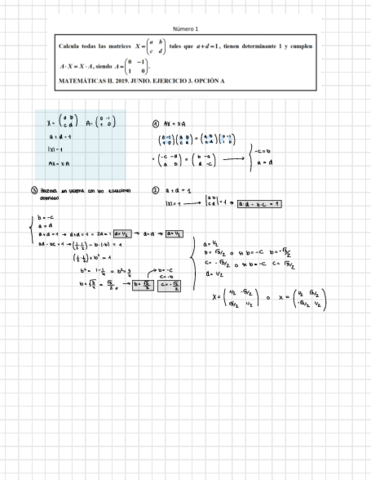 Ejercicios-Matrices-Selectividad-.pdf