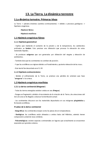 Tema-13.pdf