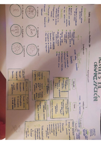 IMG20220213210903-1.pdf