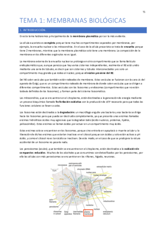 Tema 1-5 Fácil.pdf