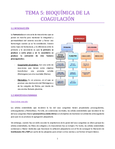 TEMA-5-bueno-hematologia.pdf
