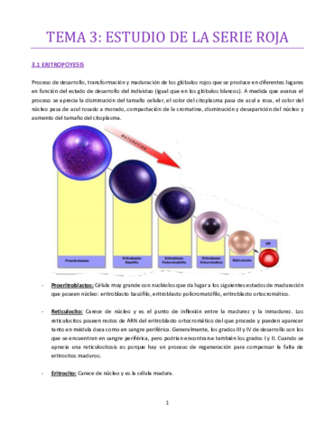 TEMA-3-bueno-hematologia.pdf