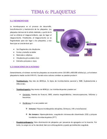 TEMA-6-bueno-hematologia.pdf