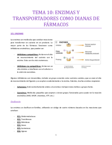 TEMA-10-bueno.pdf