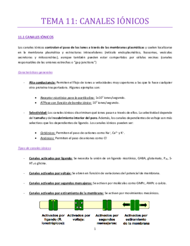 TEMA-11-bueno.pdf