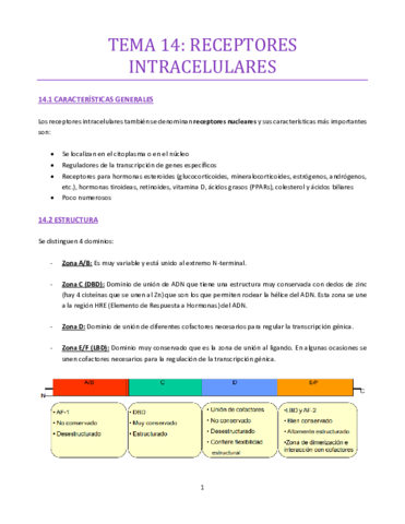 TEMA-14-bueno.pdf
