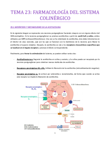 TEMA-23-bueno.pdf