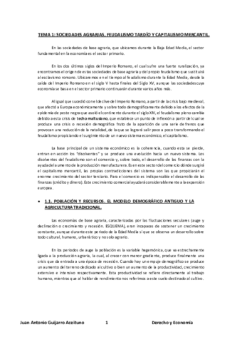Apuntes-HE-Juan-Antonio-Guijaro.pdf